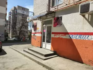 Фотография Лира 3
