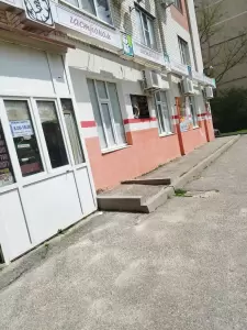Фотография Лира 5