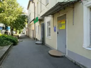 Фотография Василиса 0