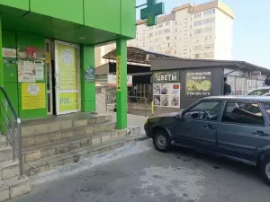 Фотография Ателье Щукиной Ольги 1