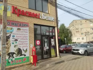 Фотография Ателье 1