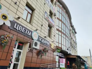 Фотография Силуэт 0